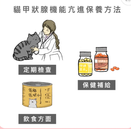 貓咪甲狀腺亢進食物