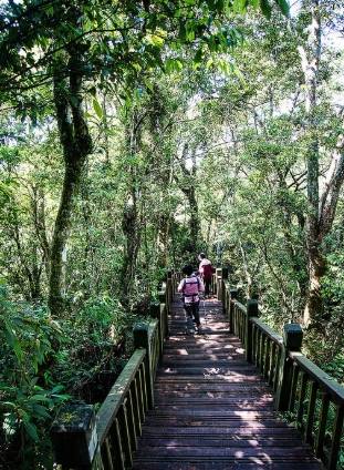 鯉魚山登山步道 鯉魚山登山步道
