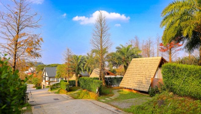 金山露營 金山露營