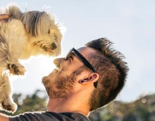 狗狗認主時間 狗狗認主時間