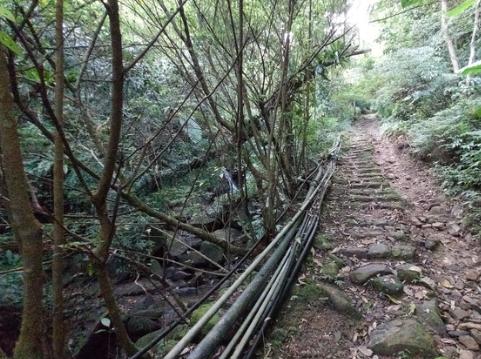 白雞山步道難度 白雞山步道難度