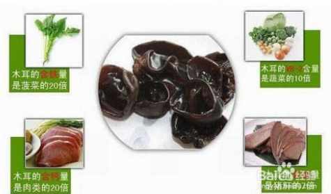 狗狗飲食禁忌 狗狗飲食禁忌