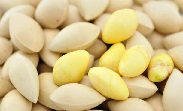 白果粉使用方法 白果粉使用方法