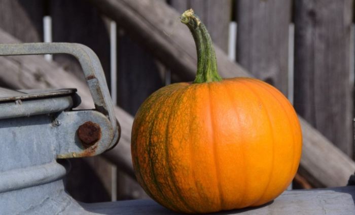 低卡南瓜料理 低卡南瓜料理