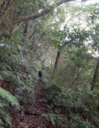 三峽登山步道推薦 三峽登山步道推薦