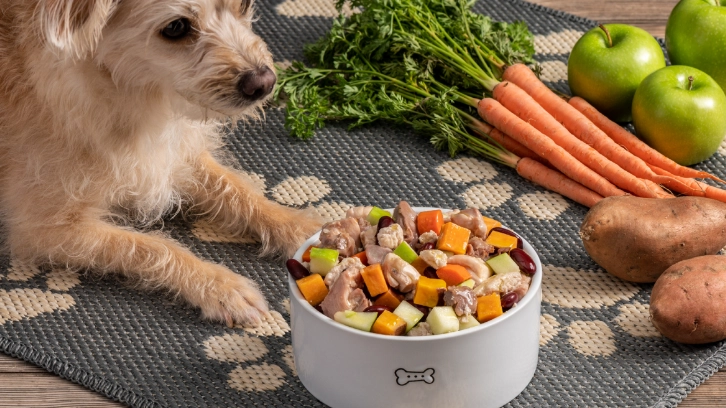 狗狗可以吃三色豆嗎