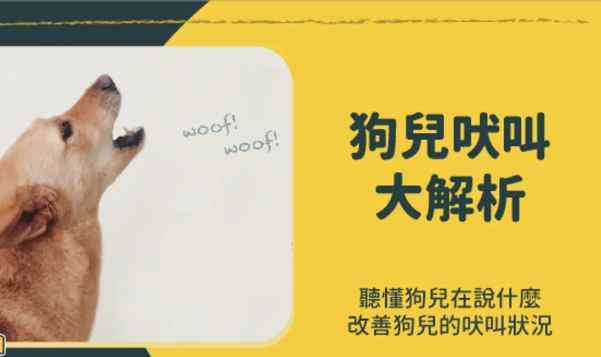 狗狗吠叫處理