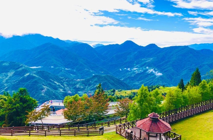 清境農場一日遊攻略：行程規劃、交通指南與景點全解析