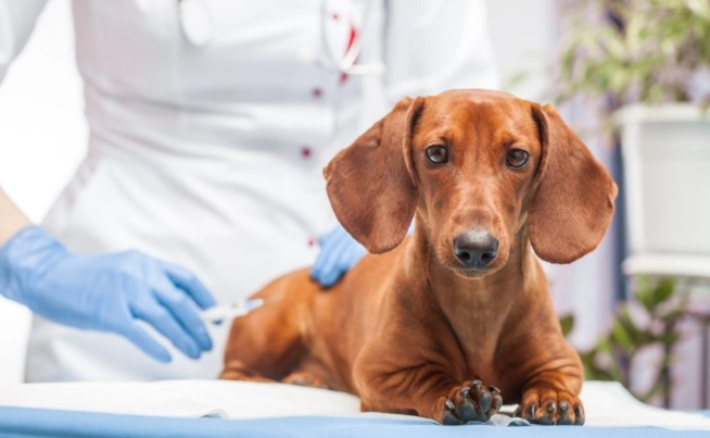 支氣管發炎症狀