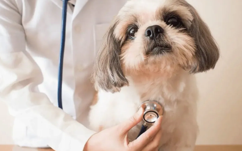 椎間盤突出手術費用