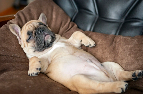 支氣管發炎症狀