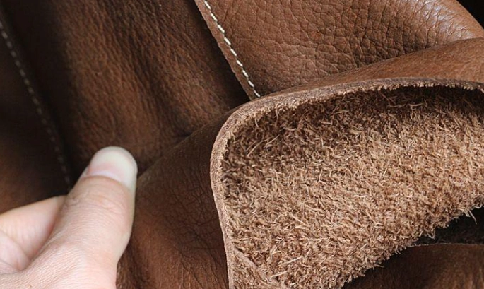 牛皮股特性 牛皮股特性