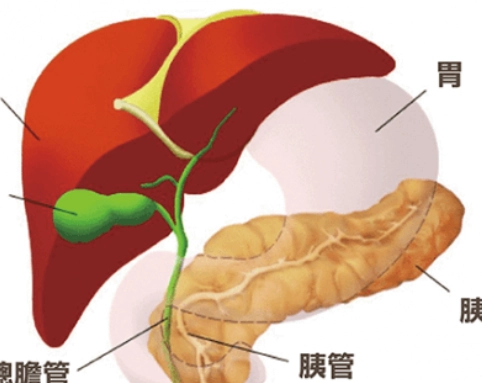 急性胰臟炎治療