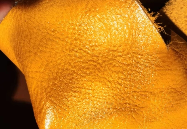 牛皮股特性 牛皮股特性