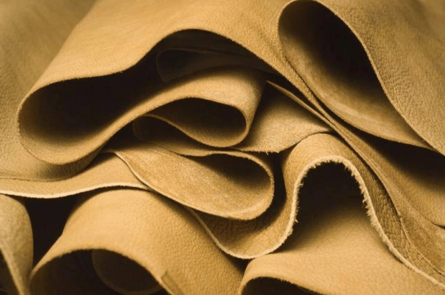 牛皮股投資 牛皮股投資