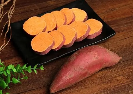 地瓜狗食份量計算