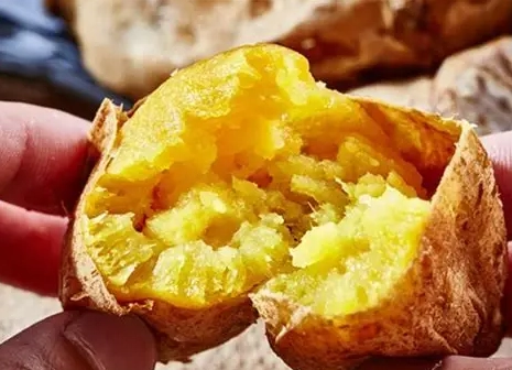 狗狗地瓜皮零食