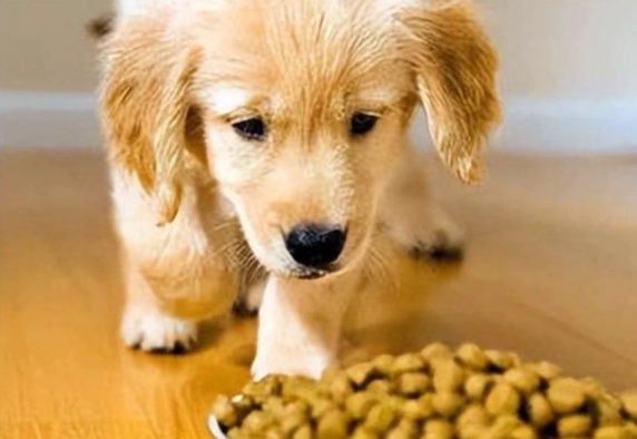 狗狗吃豌豆安全嗎 狗狗吃豌豆安全嗎