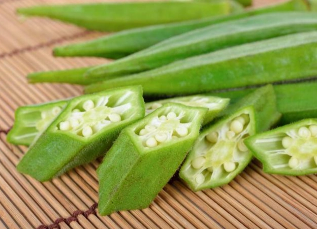 狗狗飲食安全 狗狗飲食安全