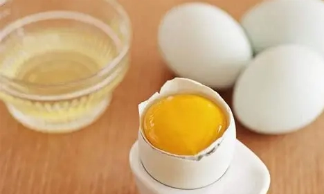 狗狗吃蛋白好處 狗狗吃蛋白好處