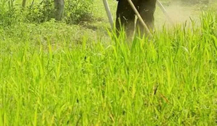 有機磷中毒症狀 有機磷中毒症狀