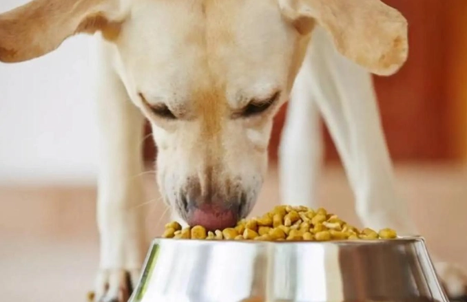 狗狗吃豌豆安全嗎 狗狗吃豌豆安全嗎