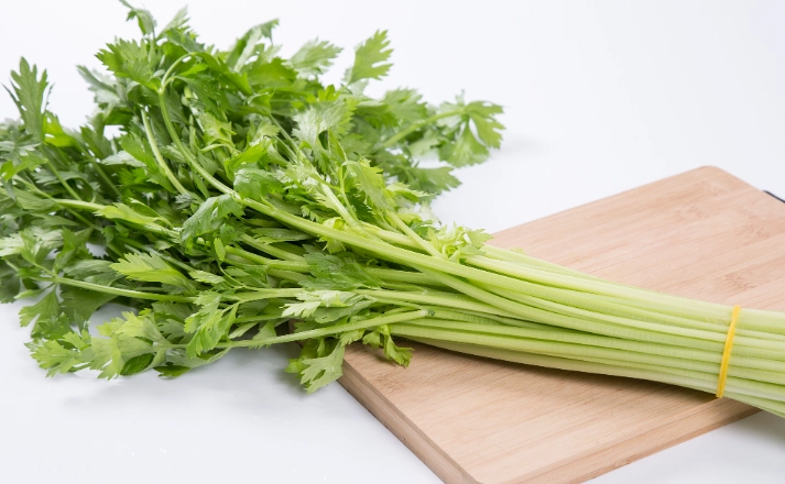 茼蒿對狗狗安全嗎