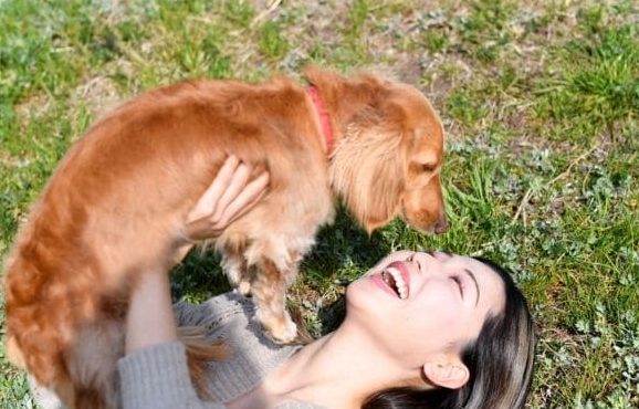 寵物中醫皮膚治療