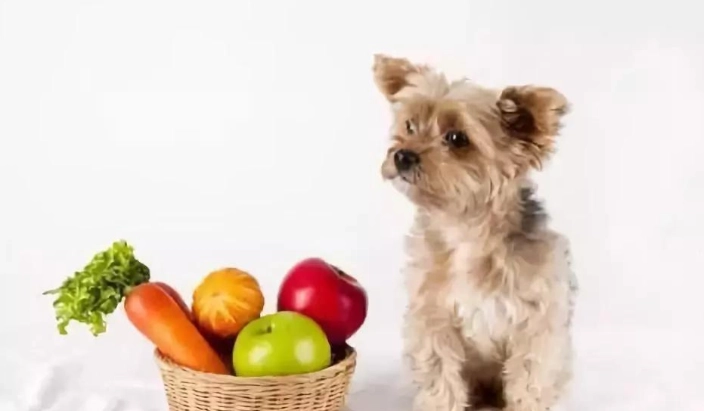 秋葵對狗狗的影響 秋葵對狗狗的影響