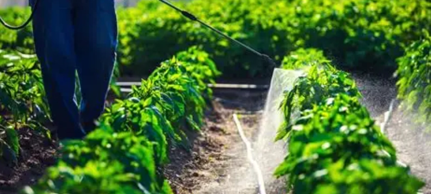 有機磷中毒治療 有機磷中毒治療