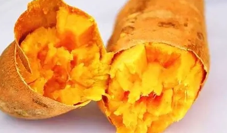 地瓜皮對狗的好處