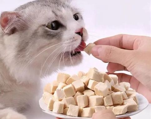 中藥貓咪保健 中藥貓咪保健