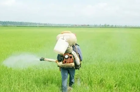 有機磷中毒症狀 有機磷中毒症狀