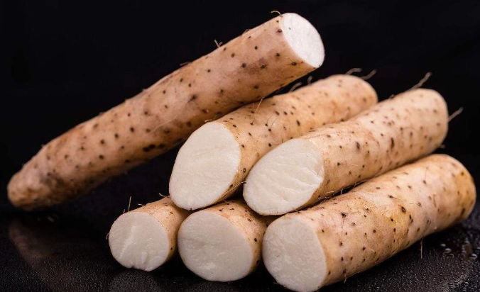 山藥對狗狗的好處