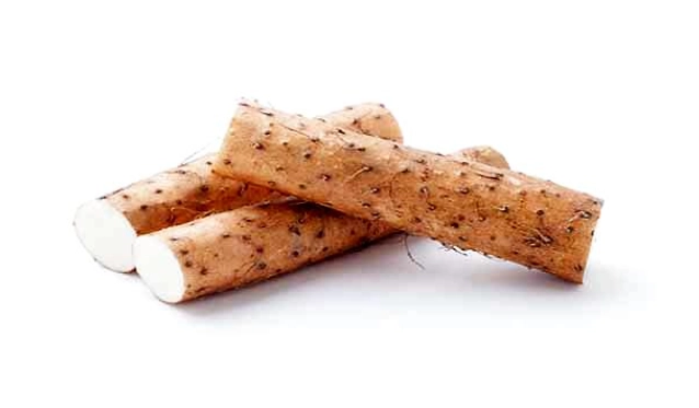 山藥對狗狗有害嗎