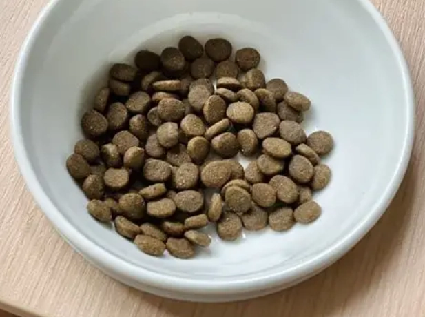 貓飼料碳水化合物 貓飼料碳水化合物