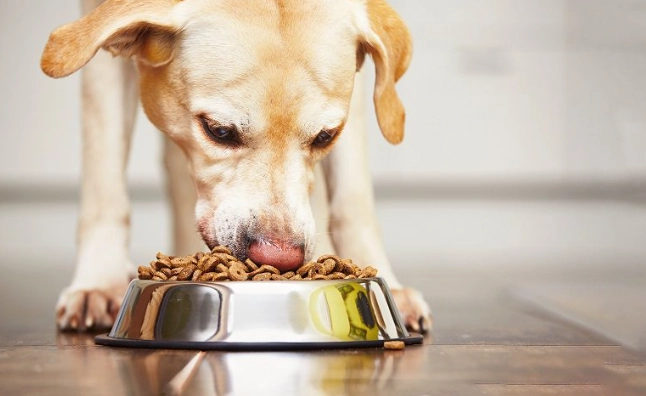 狗狗低敏肉類推薦