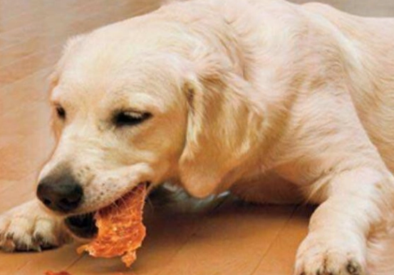 狗狗糖尿病症狀