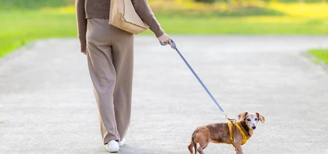 狗狗焦慮行為 狗狗焦慮行為