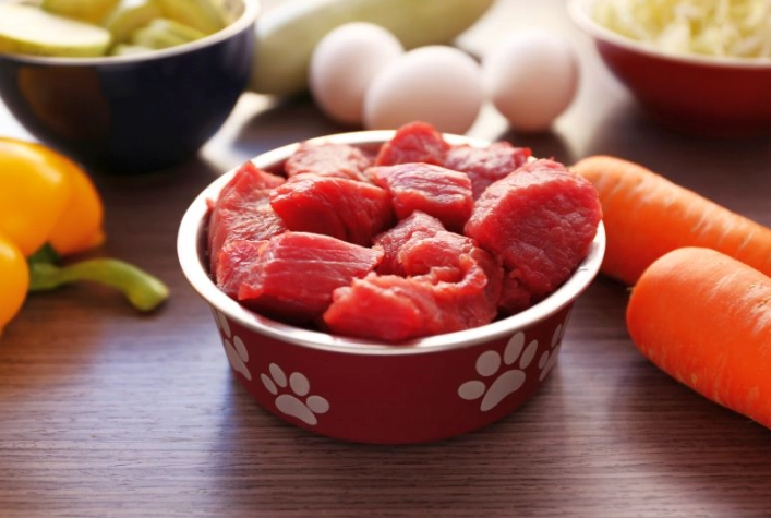 寵物鮮食喂食量計算