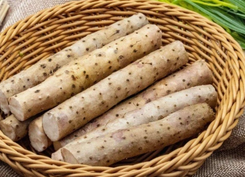 如何餵狗狗吃山藥