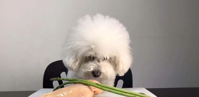 如何餵狗杏仁 如何餵狗杏仁