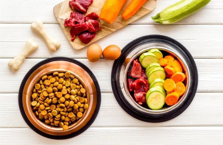 狗狗鮮食食譜份量