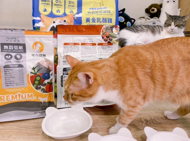 低碳水貓糧 低碳水貓糧