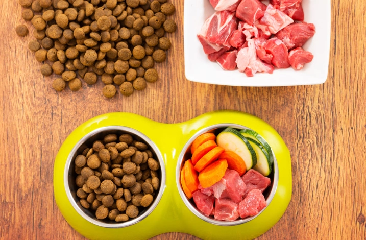 狗飼料 vs 鮮食