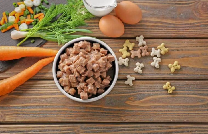 健康貓零食選擇 健康貓零食選擇