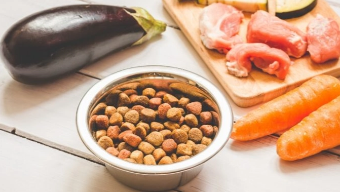 狗狗鮮食食譜份量