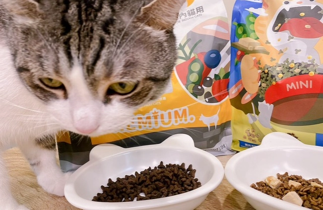 貓飼料碳水化合物 貓飼料碳水化合物