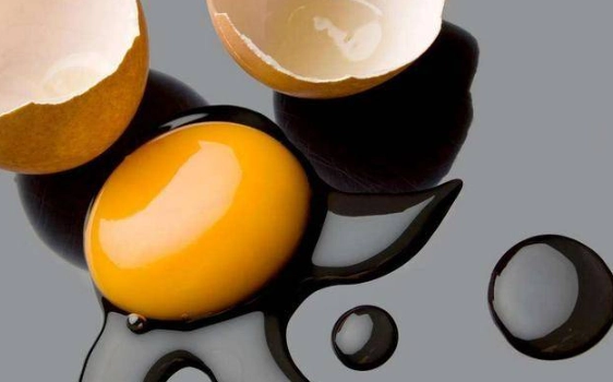 蛋黃餵狗注意事項