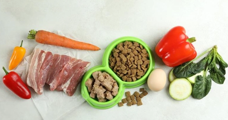 寵物鮮食喂食量計算